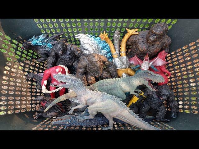 Dinosaurs T Rex,indominus Rex,kong x Godzilla empire,burning Godzilla,skar king,mosasaurus,kingkong