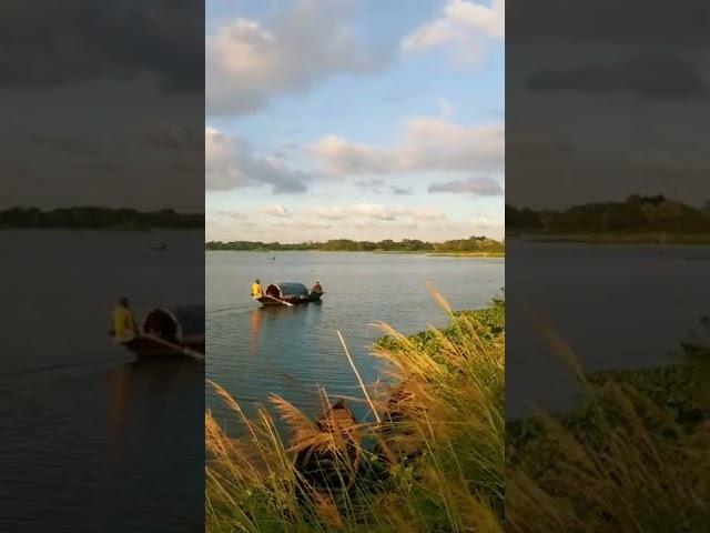 Kanaia Bridge,Gazipur. Exploring Video ig: red1riyad #bangladesh #nature #videography