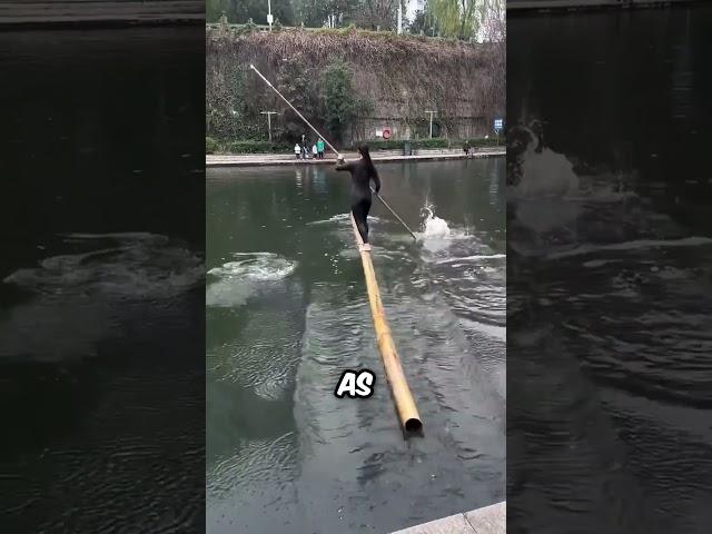 This girl stuck in the river while crossing with bamboo !