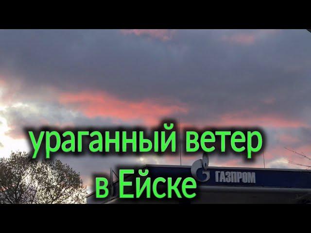 Ураганный ветер в Ейске. Прогнозируют нагонную волну. Сумка для Никиты. 4 ноября 2024 г.