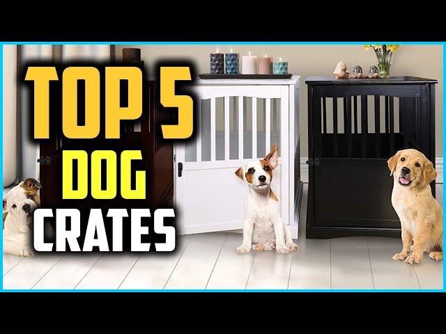 Top 5 Best Dog Crates Review in 2024