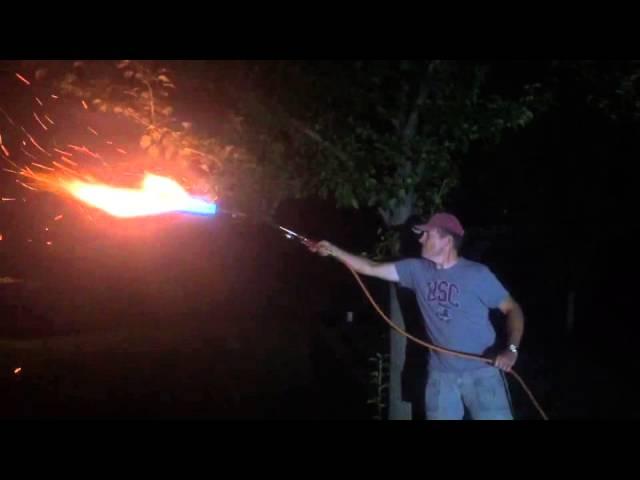 Taking down hornets nest with a flame thrower