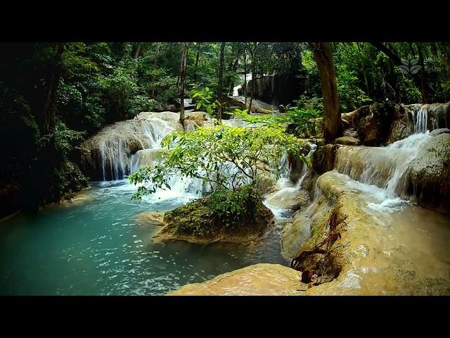 Relaxing Sounds of a Paradise Waterfall & Turquoise River | 10 Hours Sleep Aid