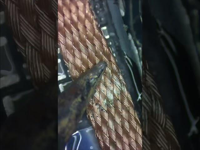 This iPhone Is Destroyed… Can We Recover it? #Tech