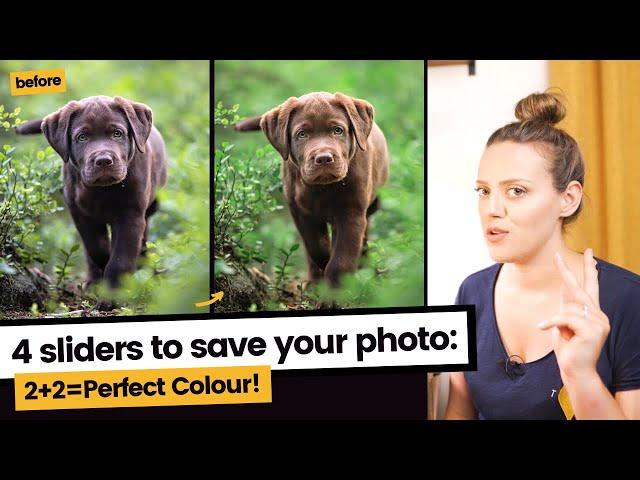 Finding & Fixing Tint and Temp Casts | 4 Sliders to Correct Color Balance in any Photograph