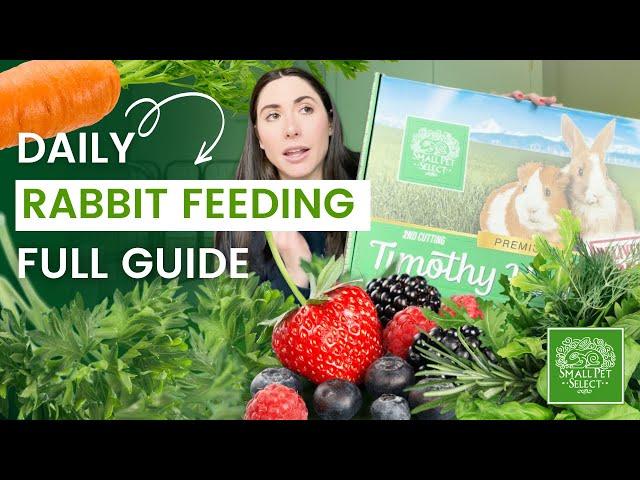 What To Feed Your Rabbit Everyday (A Rabbit Food & Diet Guide)