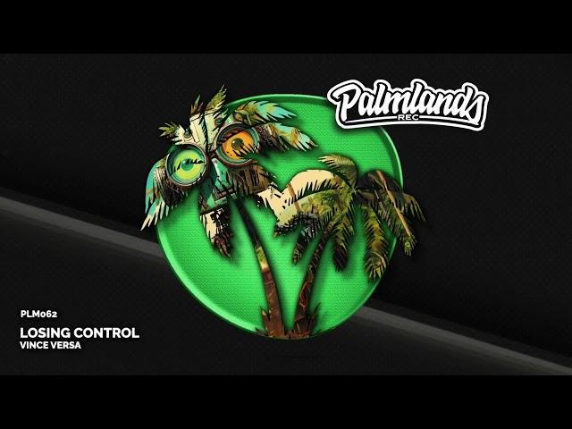 Vince Versa - Losing Control (Streaming Edit) [Palmlands Records]