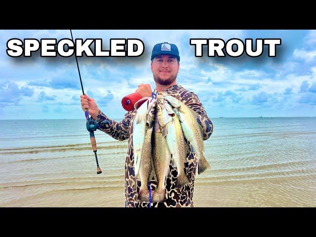 WADE FISHING for LIMITS of SPECKLED TROUT with TOPWATER LURES! (Catch & Cook)