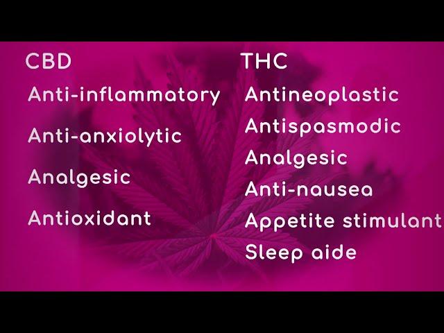 Benefits of CBD & THC