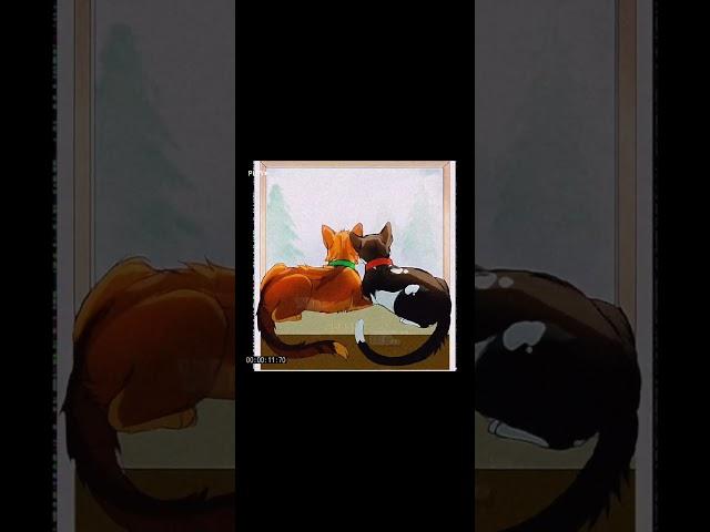 Smudge perspective.. || #sad #edit #warriorcats @Cloudy-Editz