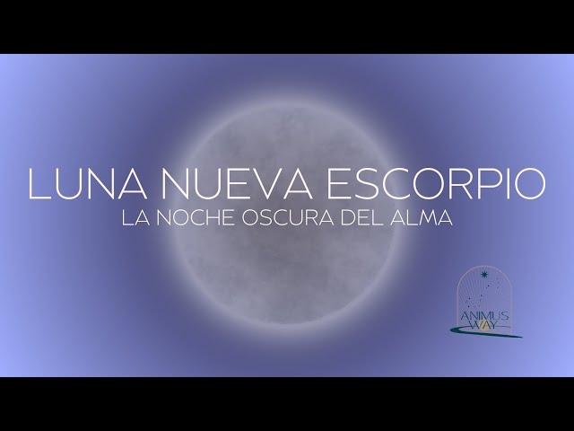 LUNA NUEVA ESCORPIO - Noche Oscura, Conciencia Clara - Para cada signo de Sol o Ascendente