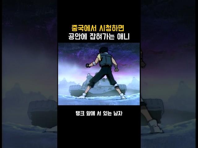 곧 중국 공안에게 삭제 될 영상 #애니 #양오리