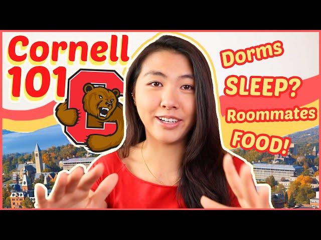 EVERYTHING to know about Cornell University (for Prospective Students + Freshmen!) | Katie Tracy