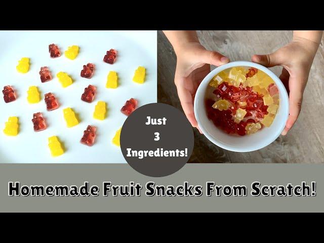 Make FRUIT SNACKS From Scratch !! ~ Homesteading Family