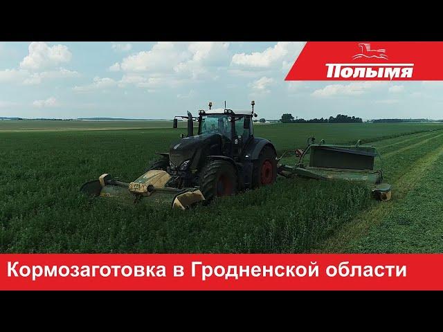 Заготовка кормов техникой Krone на полях Гродненской области