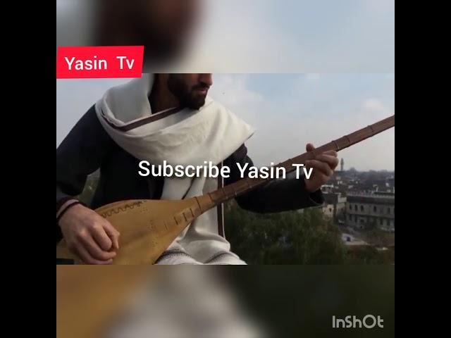 Aisar ali aisar is young telented sitar player from yasin Gilgit Baltistan