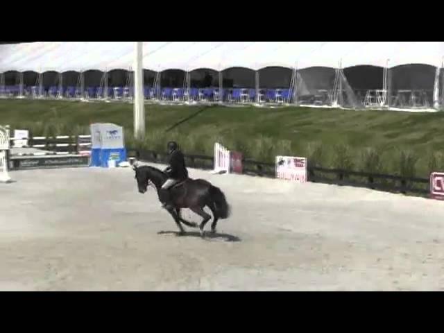 Video of Voigtsdorfs Quonschbob ridden by Andre Thieme from ShowNet!