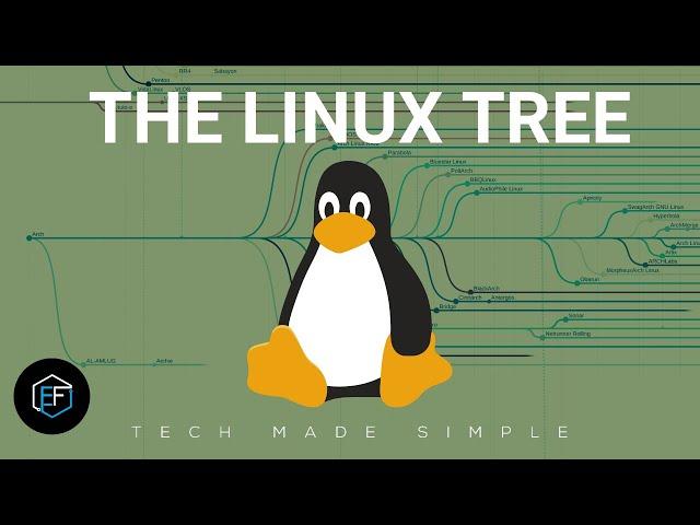 Exploring the Linux Tree