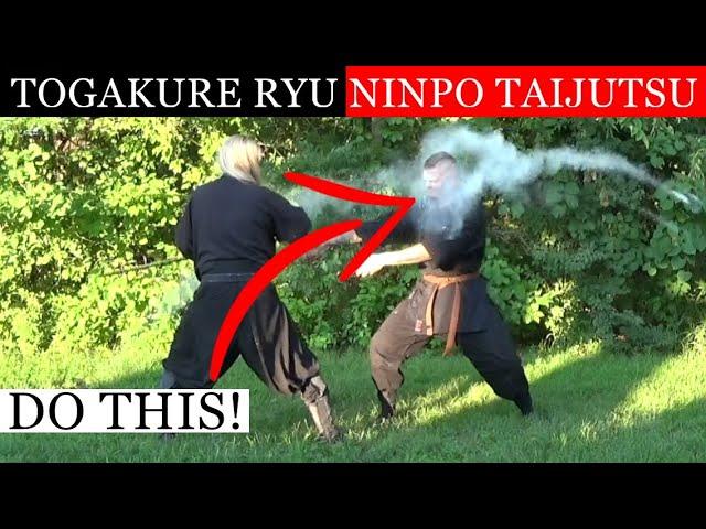 HOW DID THE NINJA DISARM THE SAMURAI? Togakure Ryu Ninpo Taijutsu: Ninjutsu Techniques