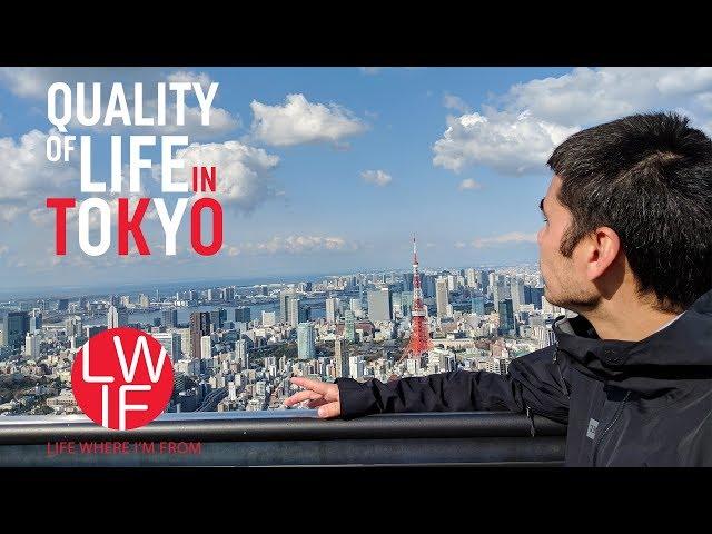 Japanese Quality of Life: My Family's Experience in Tokyo