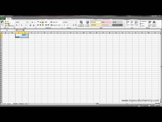 Copying and Pasting in Excel | My Excel University Lesson 1:2