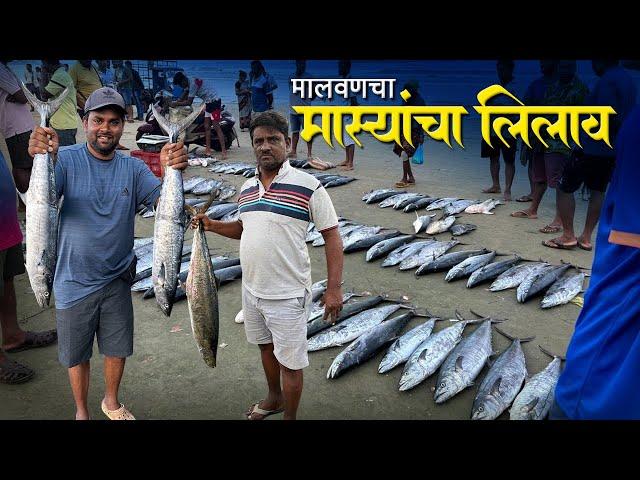 नवीन हंगामाचा "मालवणचा" माश्यांचा लिलाव | बंपर सुरमई | Bigest Fish Auction In Malvan