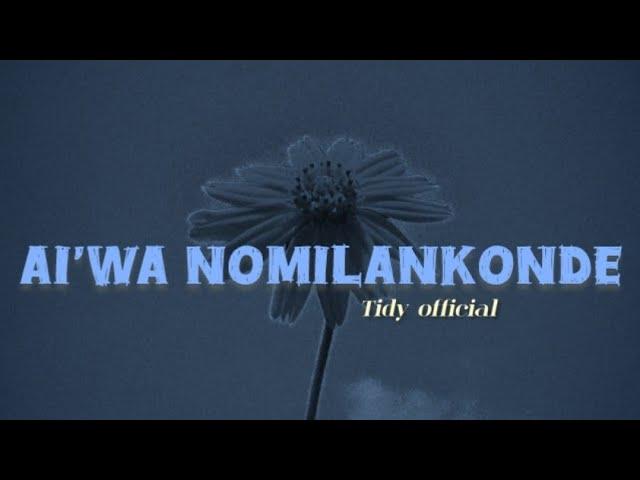 Tidy official__Ai'wa nomilankonde__(official LV) 2024