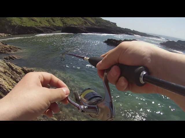 LRF Devon - Wrasse and Rockpools