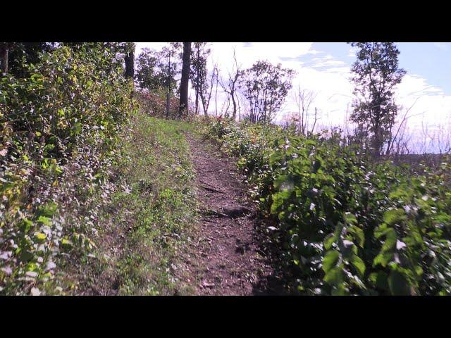 We found the big hill At Stute Homestead Sep 2019