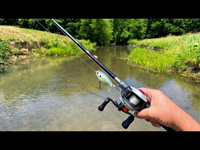 Fishing Big Lures in a Small Creek