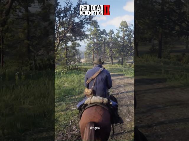 Rainy Day vs Sunny Day in RDR2 | Which Do You Prefer? ️ #shorts #reels #viralvideo #rdr2missions