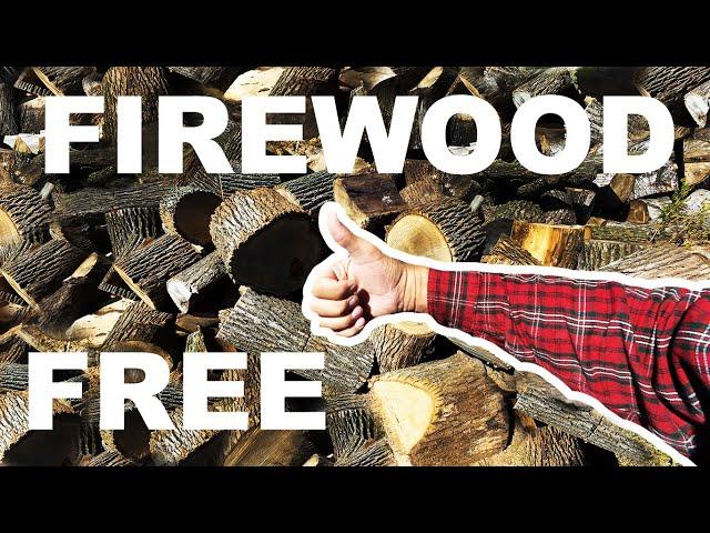 $360 WORTH OF FIREWOOD IN LESS THAN 3 HOURS!