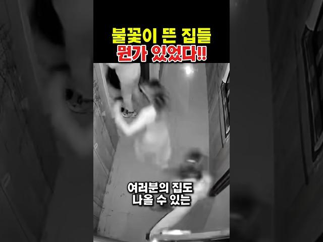 일본의 사건지도, 한국 집도 표시됐습니다.