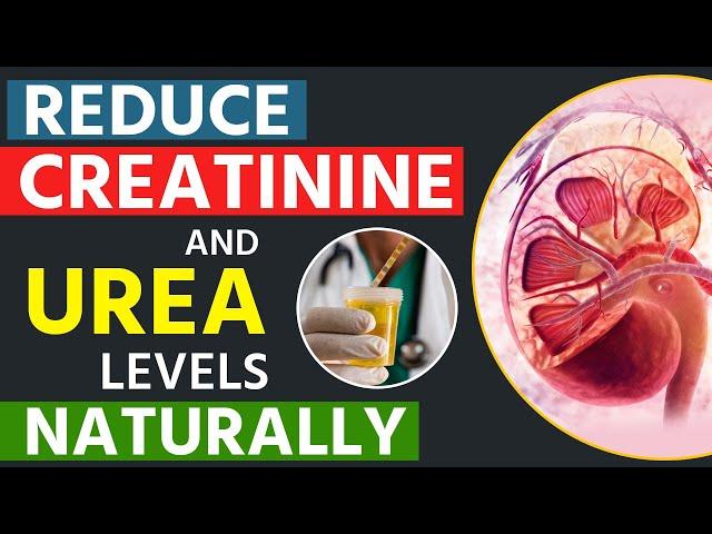 Reduce Creatinine and Urea Levels Naturally | Dr Puru Dhawan