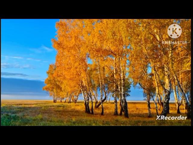 мы родились в сибири//собирается в дорогу 1 серия//обзор канала