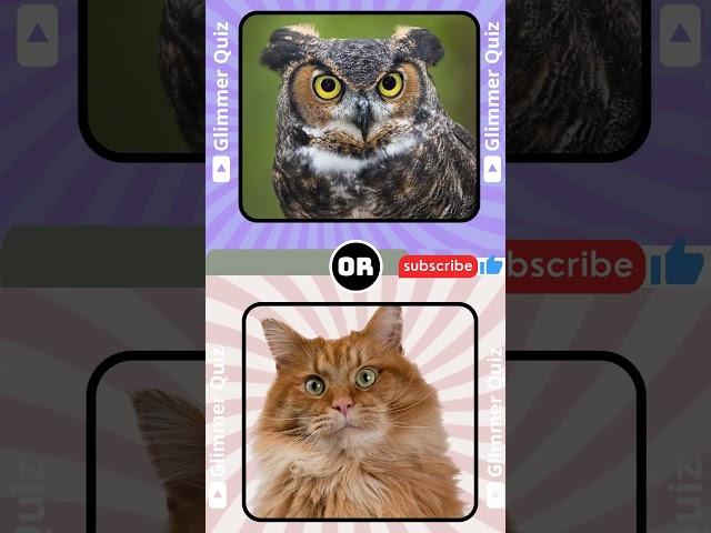 Would You Rather?| 5 Shadow Animal #funny #short #quiz #shadow