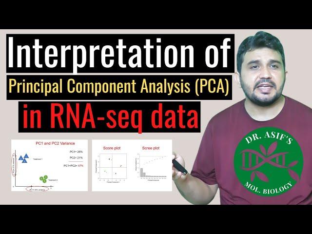 Interpretation of Principal component analysis (PCA) in RNA seq