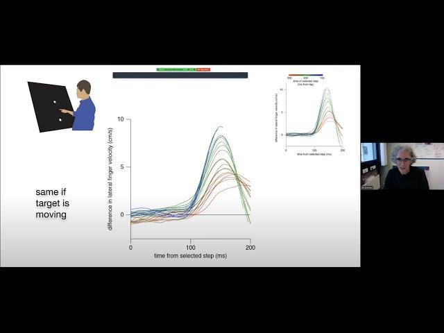 Prof Eli Brenner on "Continuous guidance of human goal-directed movements"