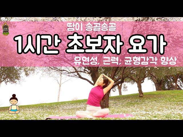 (요가은) 땀송골 1시간 초보자 요가 / 유연성, 근력, 균형감각 향상