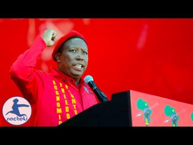 Julius Malema's We Need a United States of Africa Speech