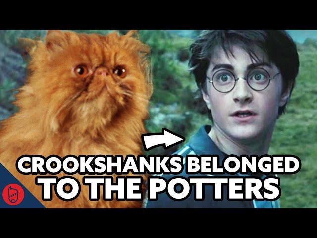 Harry Potter Theory: Who Was Crookshanks Original Owner?