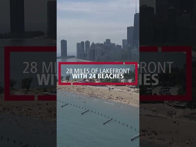 AUA 2023 in Chicago: See the Sites!