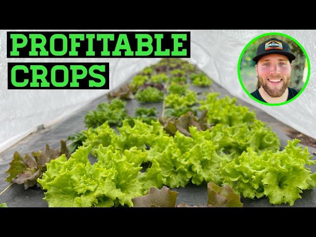 WHAT CROPS TO GROW TO BE PROFITABLE IN A SMALL SCALE MARKET GARDEN