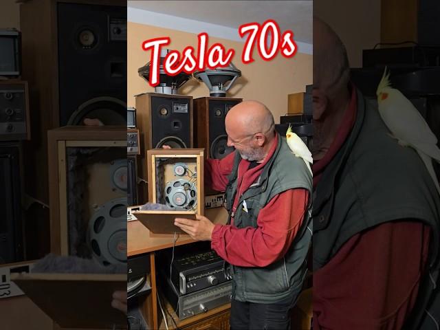 70s Vintage TESLA SPEAKERS - BASS SPEAKER - TWEETER - CAPACITOR inside Old Budget SPEAKERS For Sale