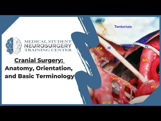 Cranial Surgery: Anatomy, Orientation, and Basic Terminology