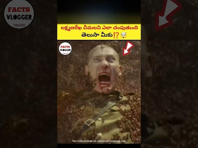 లక్ష్మణరేఖ చీమలని ఎలా చంపుతుంది తెలుసా |How Lakshman Rekha Kill Ants | facts in telugu|#telugu