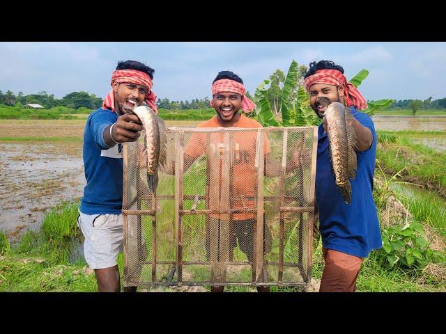 গোন মুখে আটন পেতে ভালোই চিংড়ি মাছ পেলাম সাথে জোড়াসোল@SundarbanNaturalVlog-kp1ww