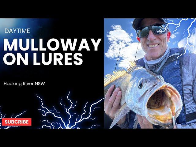 JEW AT MIDDAY - SOFT PLASTICS