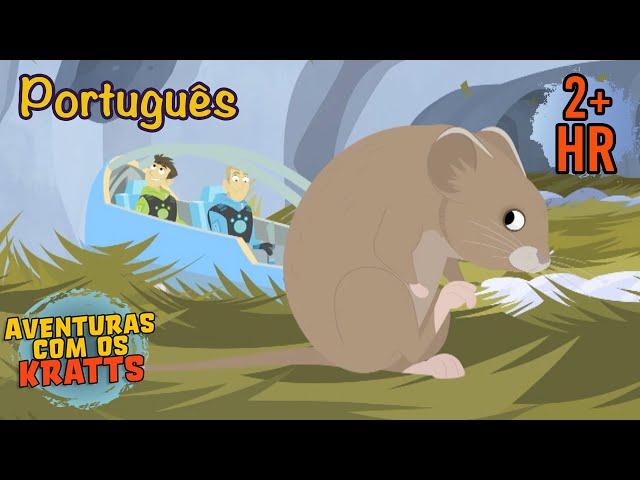 Outro mundo sob a neve [episódios completos] Aventuras com os Kratts