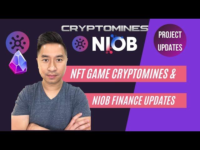 Cryptomines and Niob Finance Update